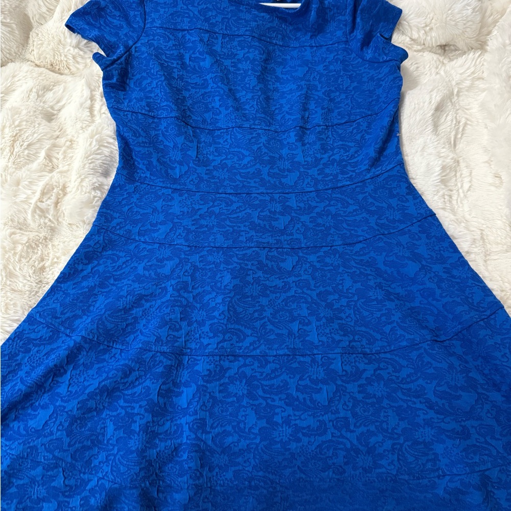 Lacy royal blue knee length women’s dress